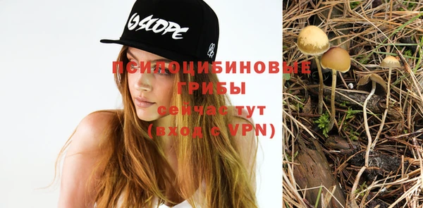 крисы Абинск